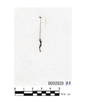 藏品(鈴木小赤苔)的圖片